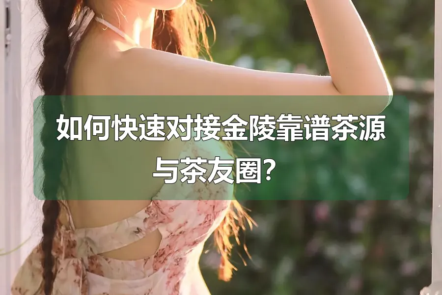 如何快速对接金陵靠谱茶源与茶友圈？